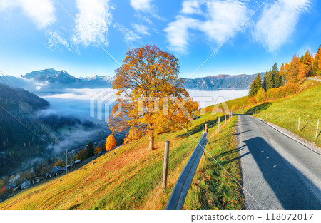 Incredible view of the meadows and mountains around Zell lake or Zeller See Incredible view of the meadows and mountains around Zell lake or Zeller See 118072017