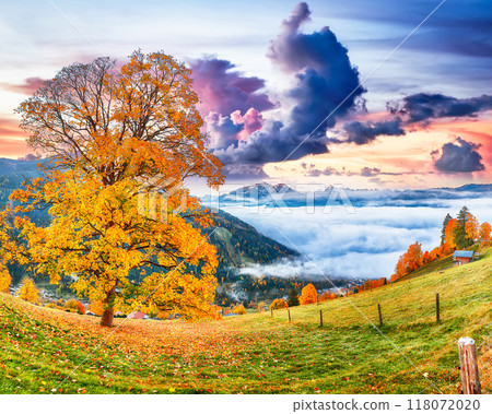 Incredible view of the meadows and mountains around Zell lake or Zeller See Incredible view of the meadows and mountains around Zell lake or Zeller See 118072020