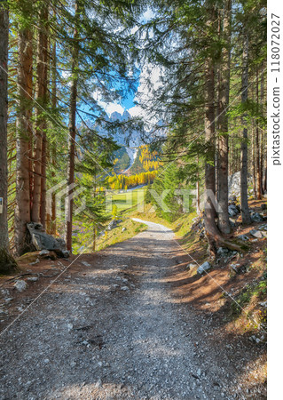 Gorgeous view of mountains and valleys with larch forest and wonderful sky are located in Filzmoos Gorgeous view of mountains and valleys with larch forest and wonderful sky are located in Filzmoos 118072027