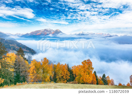 Incredible view of the meadows and mountains around Zell lake or Zeller See Incredible view of the meadows and mountains around Zell lake or Zeller See 118072039