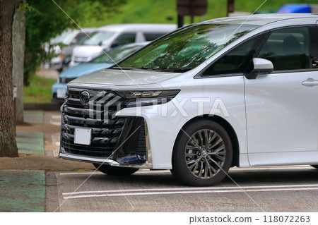 white minivan 118072263