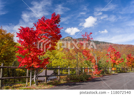 平湯大瀧停車場周圍的紅葉充滿生機 118072540