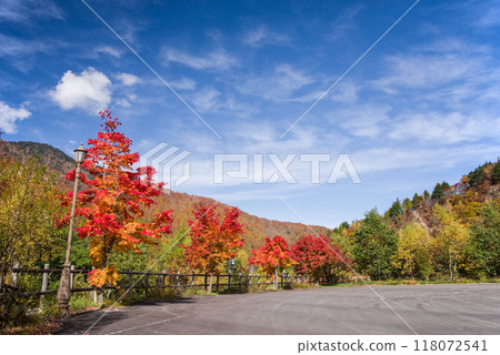 Vivid autumn foliage around the Hirayu Otaki waterfall parking lot 118072541