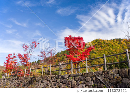 平湯大瀧停車場周圍的紅葉充滿生機 平湯大瀧停車場周圍的紅葉充滿生機 118072551
