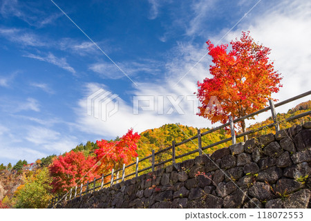 Vivid autumn foliage around the Hirayu Otaki waterfall parking lot Vivid autumn foliage around the Hirayu Otaki waterfall parking lot 118072553