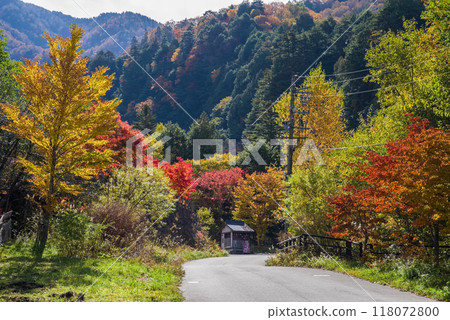 Autumn foliage around the entrance to Hirayu Otaki waterfall 118072800
