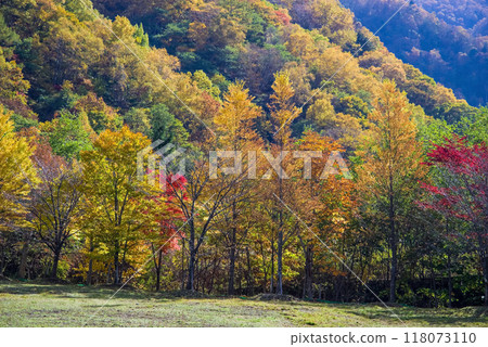 Autumn scenery in Okuhida Onsen Village "Hirayu Onsen Ski Resort" 118073110