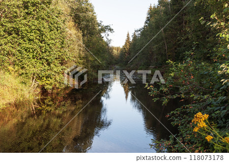 Country landscape with small taiga river at sunset Country landscape with small taiga river at sunset 118073178