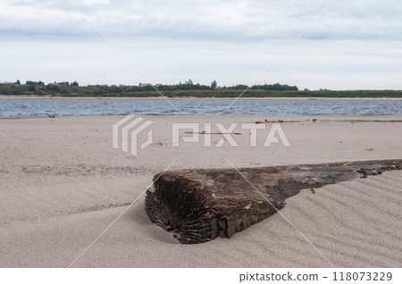 Old log in sand on a riverbank 118073229