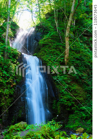 Fresh water falls Fresh water falls 118073645