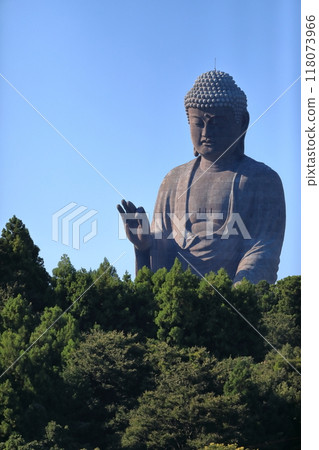 Ushiku Buddha (Ushiku City, Ibaraki Prefecture) 118073966