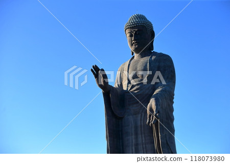 牛久大佛（茨城縣牛久市） 118073980
