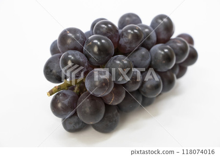 Muscat Berry A Muscat Berry A 118074016