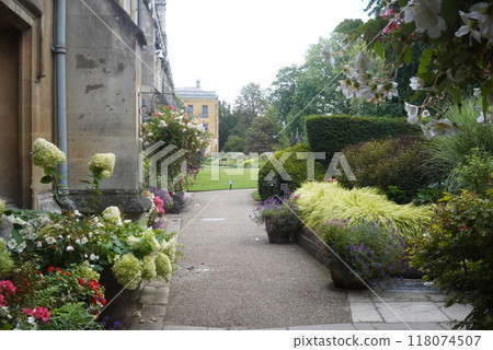 Oxford University: A path filled with plants Oxford University: A path filled with plants 118074507