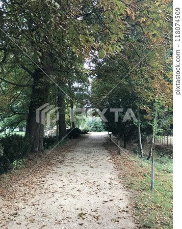 牛津大學落葉步道 118074509