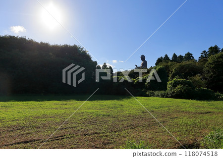 牛久大佛（茨城縣牛久市） 118074518