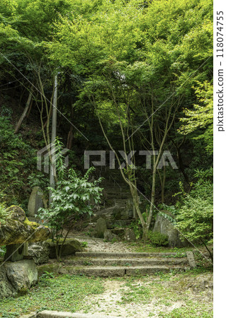58th of the 88 Shikoku Temples: Senyuji Temple Approach, Imabari City, Ehime Prefecture 118074755