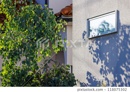 早晨的陽光和綠葉反射在房子狹窄的窗戶上 早晨的陽光和綠葉反射在房子狹窄的窗戶上 118075302