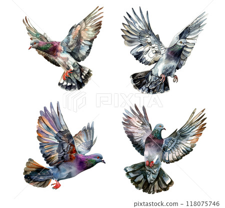 Detailed watercolor illustration of a brown bear head, showcasing realistic textures and lifelike expressions. Wildlife Animals. Detailed watercolor illustration of a brown bear head, showcasing realistic textures and lifelike expressions. Wildlife Animals. 118075746