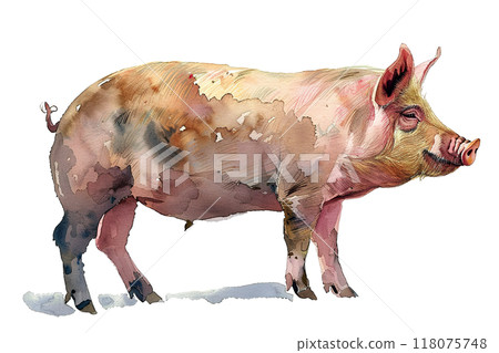 Detailed watercolor illustration of a brown bear head, showcasing realistic textures and lifelike expressions. Wildlife Animals. Detailed watercolor illustration of a brown bear head, showcasing realistic textures and lifelike expressions. Wildlife Animals. 118075748