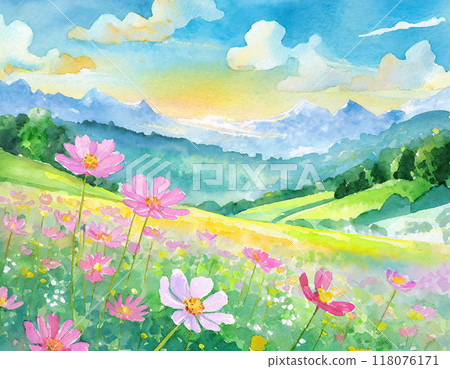 春天和夏天有野花的草甸 118076171