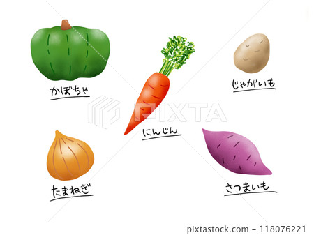 5種維生素色蔬菜（南瓜、胡蘿蔔、馬鈴薯、洋蔥、地瓜） 118076221
