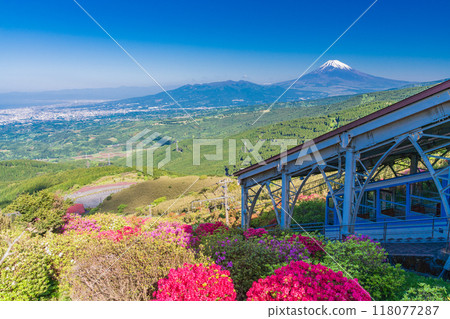 [Shizuoka Prefecture] View of Mt. Fuji from the Jukkoku Pass Cable Car with its beautiful azaleas 118077287