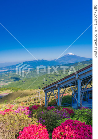 [Shizuoka Prefecture] View of Mt. Fuji from the Jukkoku Pass Cable Car with its beautiful azaleas 118077290