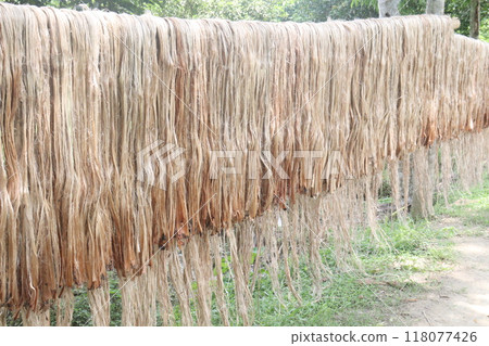 golden fiber jute and stick stock golden fiber jute and stick stock 118077426
