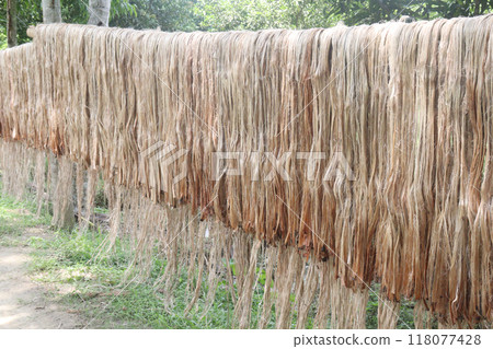 golden fiber jute and stick stock golden fiber jute and stick stock 118077428