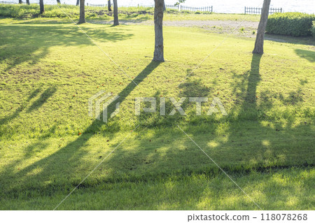 On the mall in the shade of the grass in the park On the mall in the shade of the grass in the park 118078268