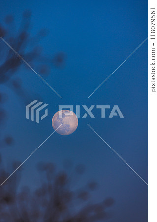 Moonrise Moonrise 118079561