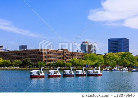 Swan boats float in a line on the pond in the park 118079640