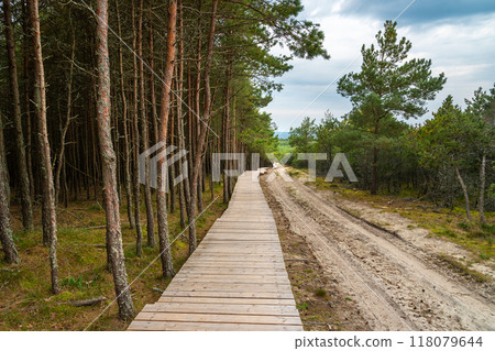 Trail to observation deck on Olenya Buda dunes with views of Swan Lake. Curonian Spit National Park. Russia 118079644