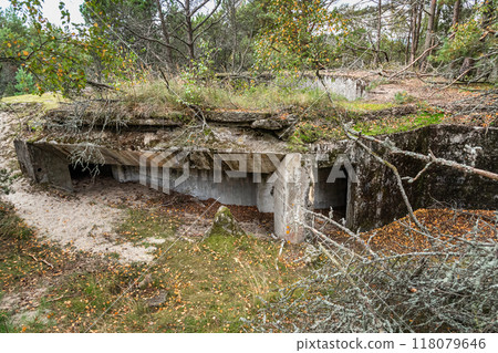 Coastal Batareya Raul in Curonian spit national Park. Morskoe. Kaliningrad region. Russia 118079646