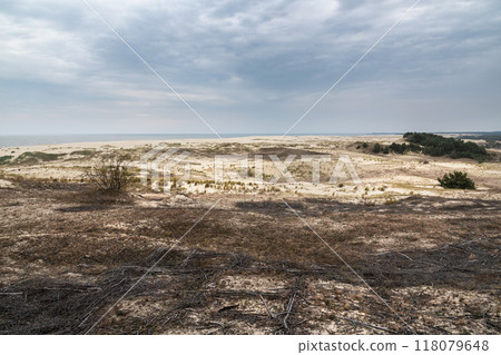 View of Dune Ridge and Curonian Lagoon from Efa height in Curonian spit national Park. Russia View of Dune Ridge and Curonian Lagoon from Efa height in Curonian spit national Park. Russia 118079648