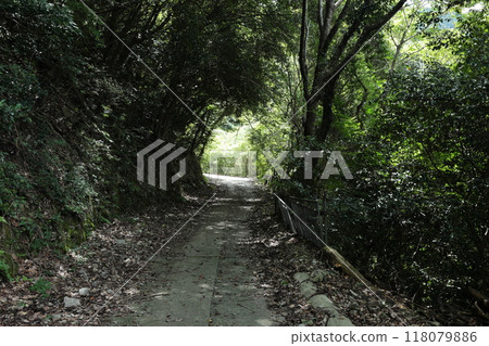 Arima Onsen Healing Forest [Walk around the area from the Arima Onsen Station on the Rokko-Arima Ropeway] / Arimacho, Kita-ku, Kobe 118079886