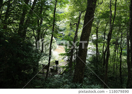 Arima Onsen Healing Forest [Walk around the area from the Arima Onsen Station on the Rokko-Arima Ropeway] / Arimacho, Kita-ku, Kobe 118079890