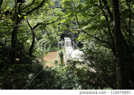 Arima Onsen Healing Forest [Walk around the area from the Arima Onsen Station on the Rokko-Arima Ropeway] / Arimacho, Kita-ku, Kobe 118079891