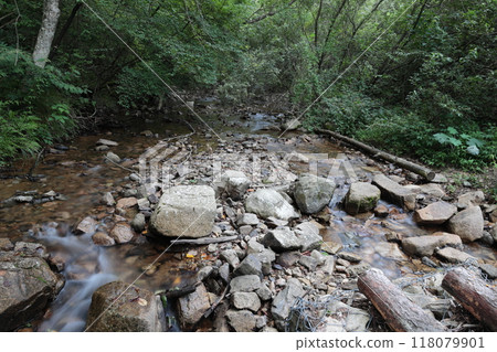 Arima Onsen Healing Forest [Walk around the area from the Arima Onsen Station on the Rokko-Arima Ropeway] / Arimacho, Kita-ku, Kobe 118079901