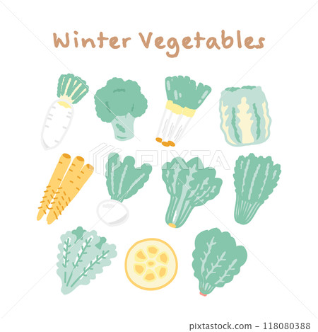 Winter vegetables ingredients illustration set Winter vegetables ingredients illustration set 118080388