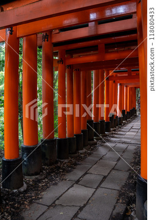 Kyoto Fushimi Inari Taisha Kyoto Fushimi Inari Taisha 118080433