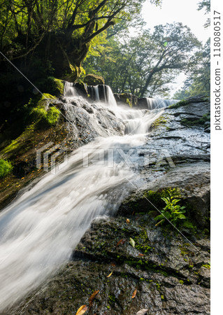 Beautiful valley scenery with beautiful flowing water in Kikuchi Valley in winter Beautiful valley scenery with beautiful flowing water in Kikuchi Valley in winter 118080517