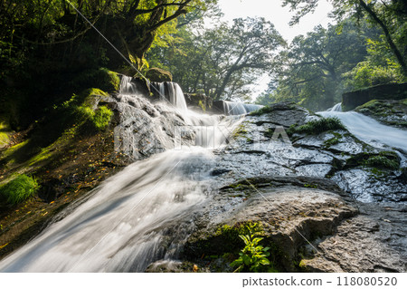 冬季菊池溪谷美麗的山谷風景和美麗的流水 冬季菊池溪谷美麗的山谷風景和美麗的流水 118080520