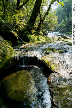 Beautiful valley scenery with beautiful flowing water in Kikuchi Valley in winter 118080537