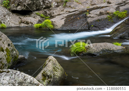 冬季菊池溪谷美麗的山谷風景和美麗的流水 118080551