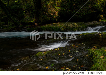 冬季菊池溪谷美麗的山谷風景和美麗的流水 118080596