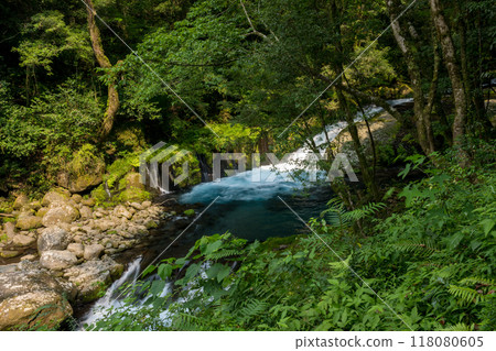 冬季菊池溪谷美麗的山谷風景和美麗的流水 冬季菊池溪谷美麗的山谷風景和美麗的流水 118080605