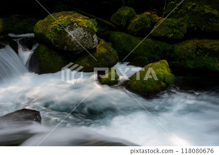 Beautiful valley scenery with beautiful flowing water in Kikuchi Valley in winter 118080676
