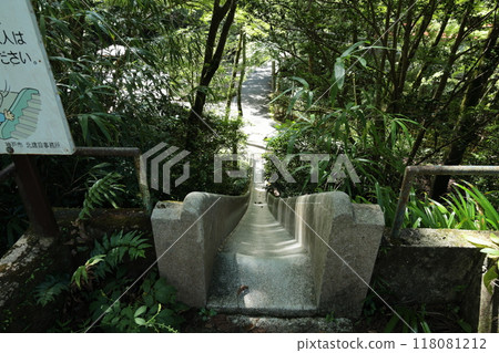 Arima Onsen Healing Forest (Tsuzumigataki Park) [From Arima Onsen Station on the Rokko-Arima Ropeway] / Arimacho, Kita-ku, Kobe City 118081212